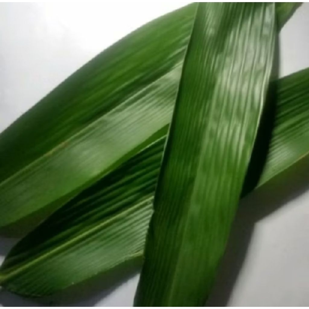 

promo termurah /10 lembar daun bambu bungkus bachang pilihan terbaik