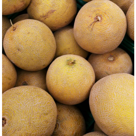 

Melon Hijau Per 500 GR