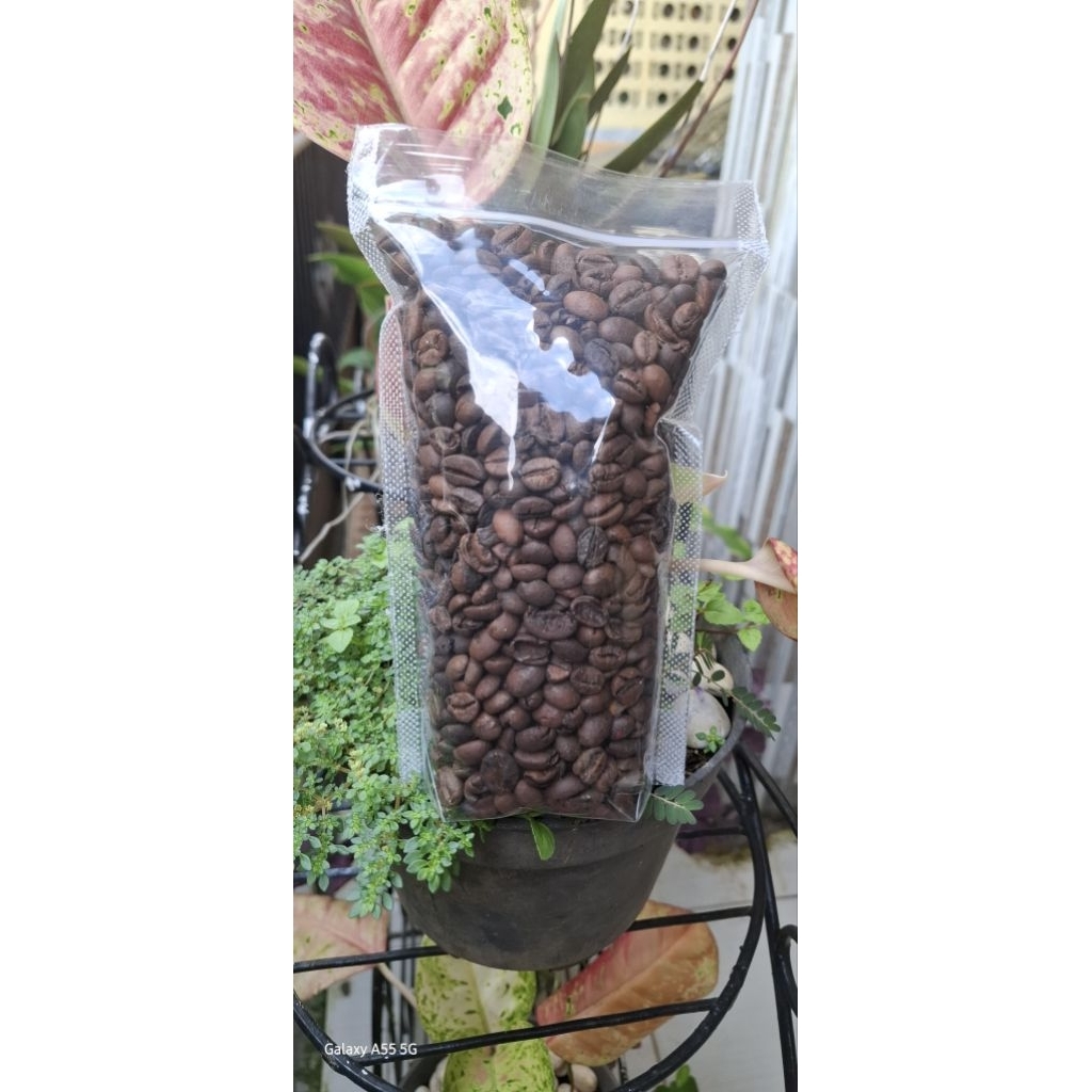 

KopiROSTING(100gr)Robusta