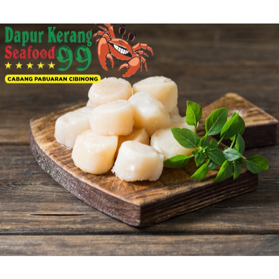 

Daging Kerang Kampak/Scallop 500gr 1/2kg Seafood Murah Kerang Kupas