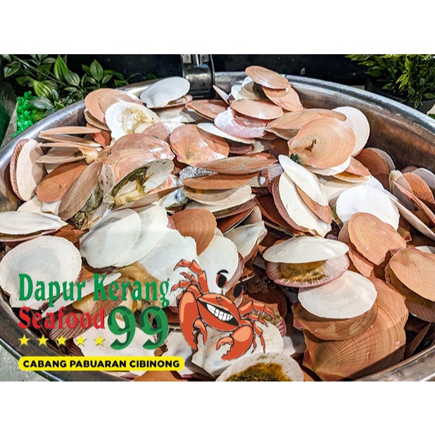 

Kerang Simping Scallop 500gr Seafood Frozen
