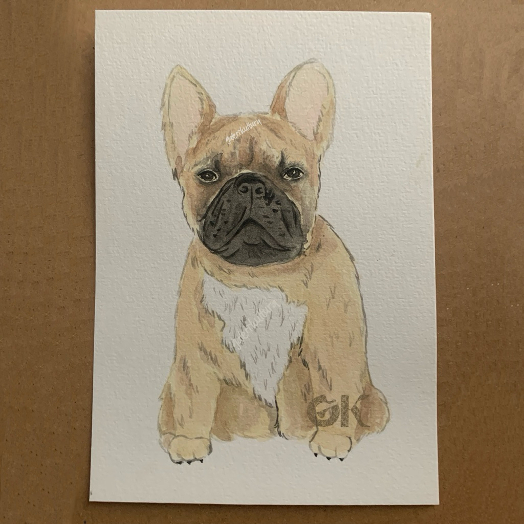 

Pet Watercolor Drawing