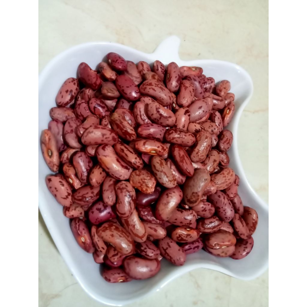 

Biji Kacang Merah Kering