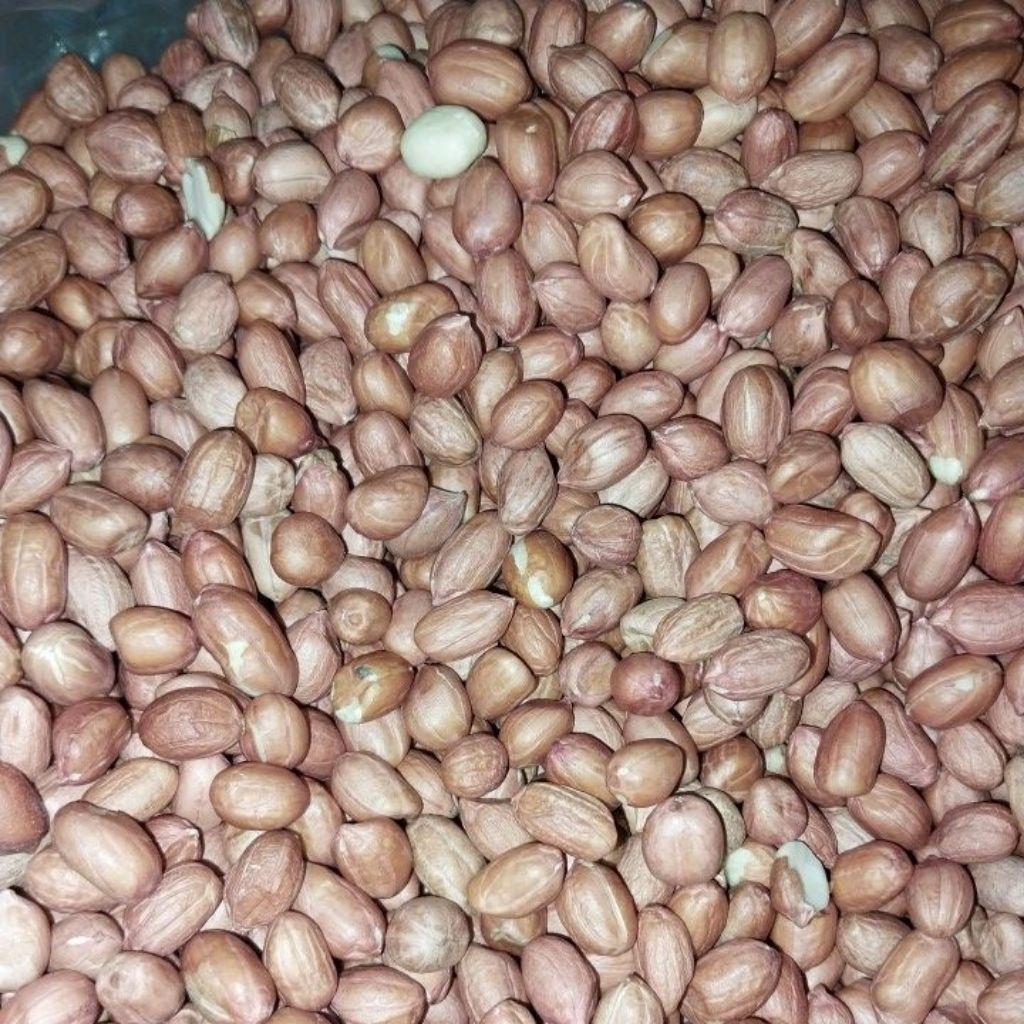 

Kacang Tanah Kemasan 0.5kg