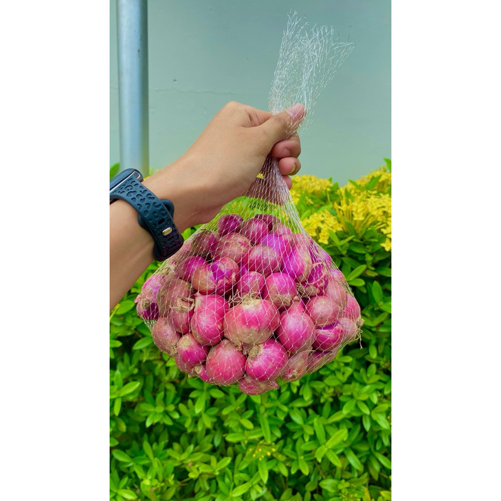 

BAWANG MERAH