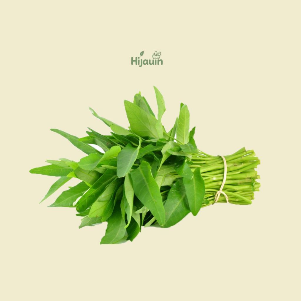 

Kangkung Hijau Segar 1 Ikat - Sayur Fresh / Sayur Fresh