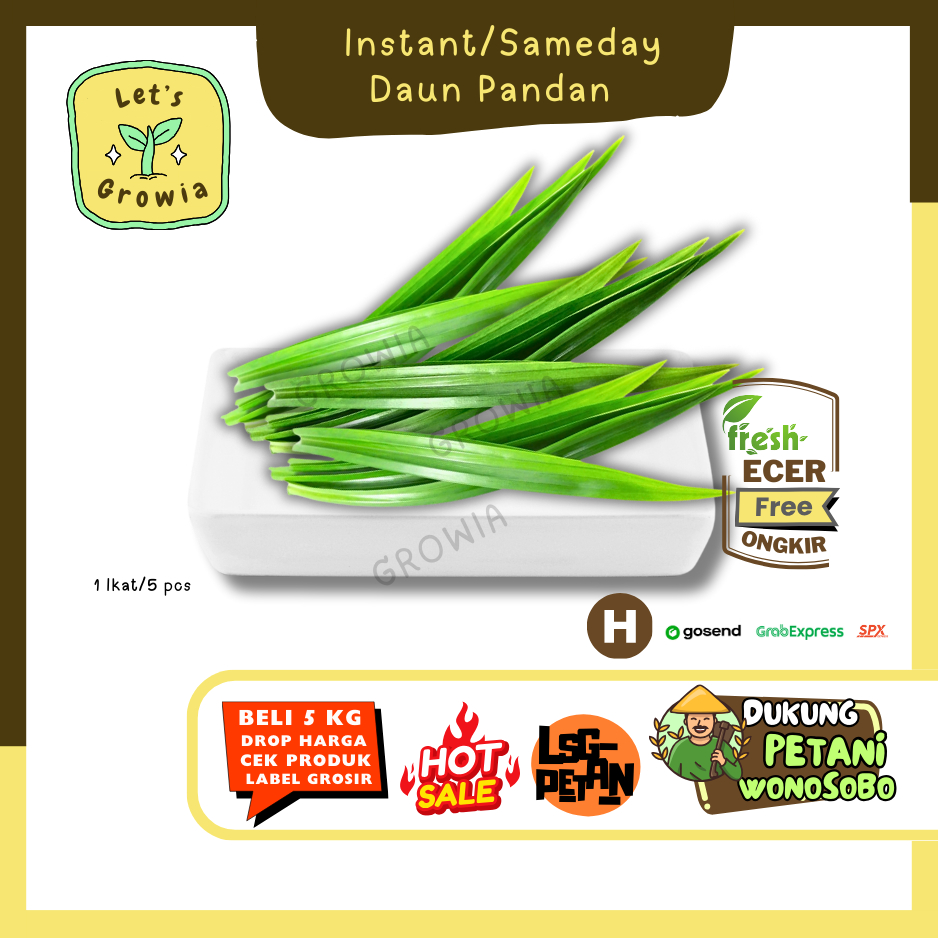 

Growia || Daun Pandan -- Hasil Petani Langsung Ecer Sayur Gunung (H)