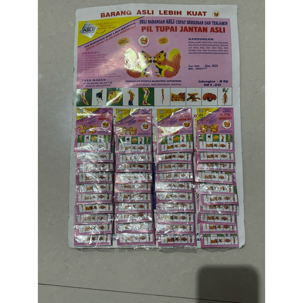 tupai jantan original