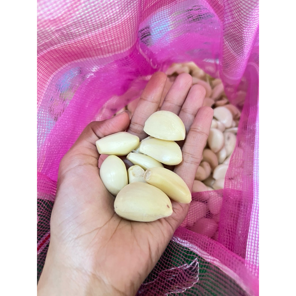 

bawang putih kupas perkilo