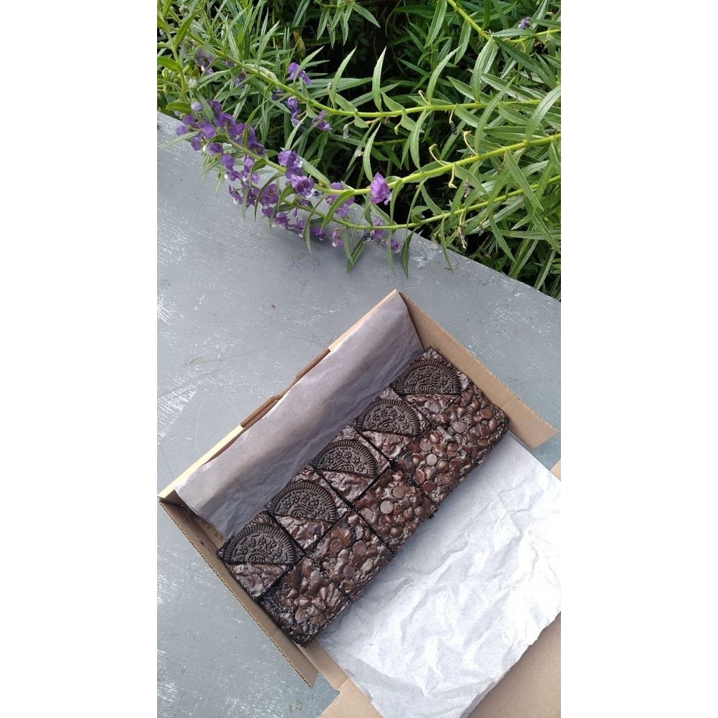 

fudgy brownies mix oreo+chocochips ukuran 20×10