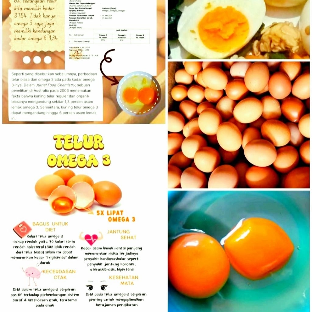 

Telur Ayam Omega3 Curah Kiloan