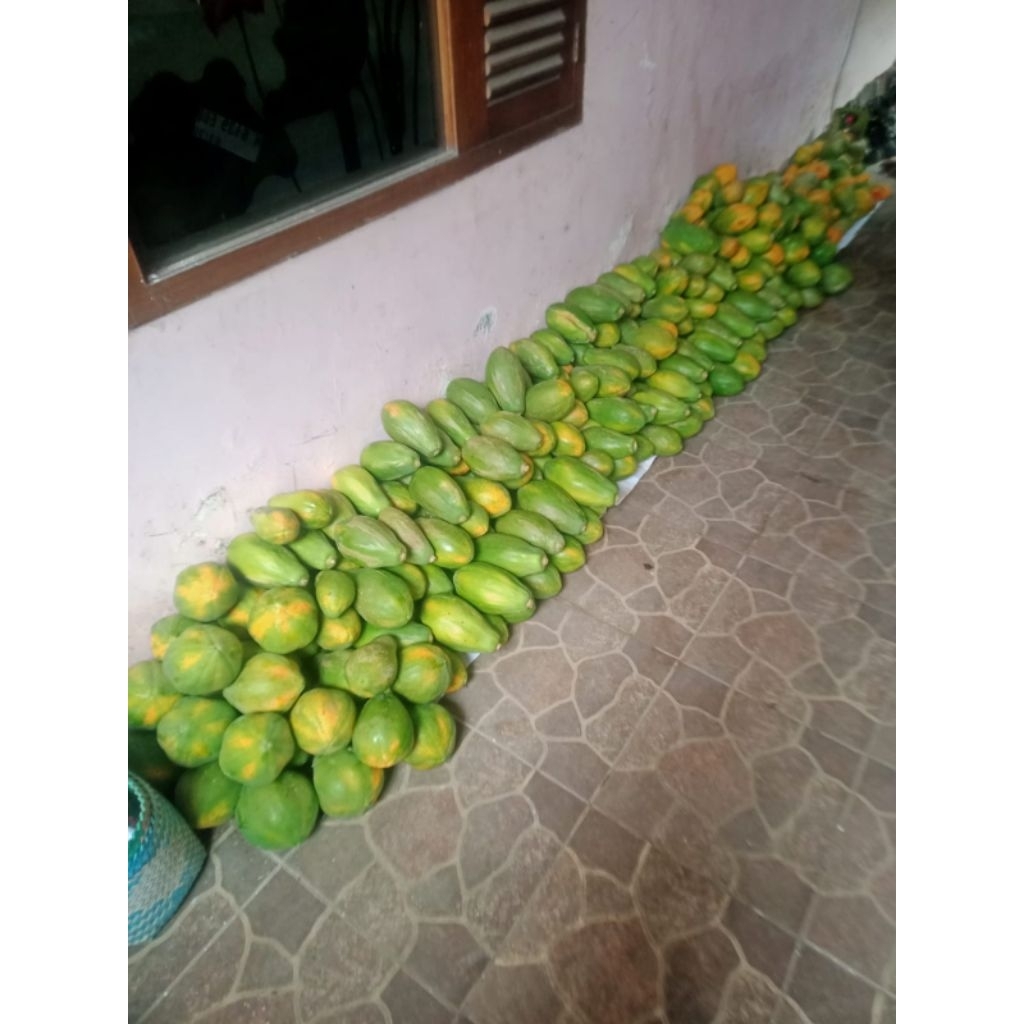 

pepaya hawai asli (1kg)