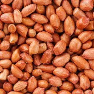 

KACANG TANAH 500GRAM
