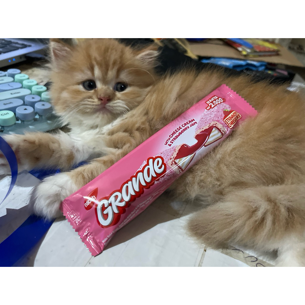 

NABATI GRANDE With Cheese Cream Stroberi Perpak Isi 22Gram