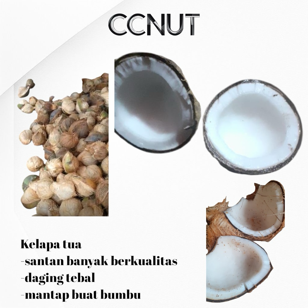 

KELAPA TUA | KRAMBIL | KAMBIL | KELAPA BUMBU | SANTAN