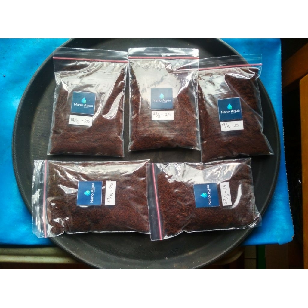 telur killifish guentheri red 100 btr