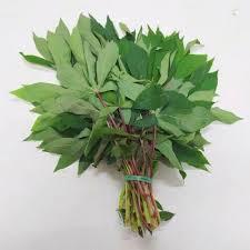 

Daun singkong