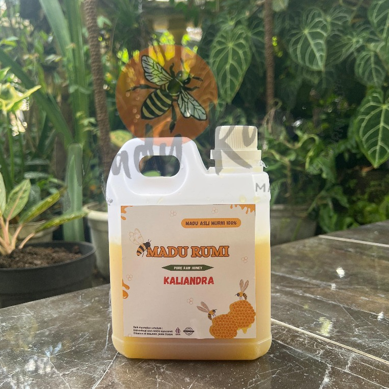 

Madu Rumi Kaliandra Madu Murni