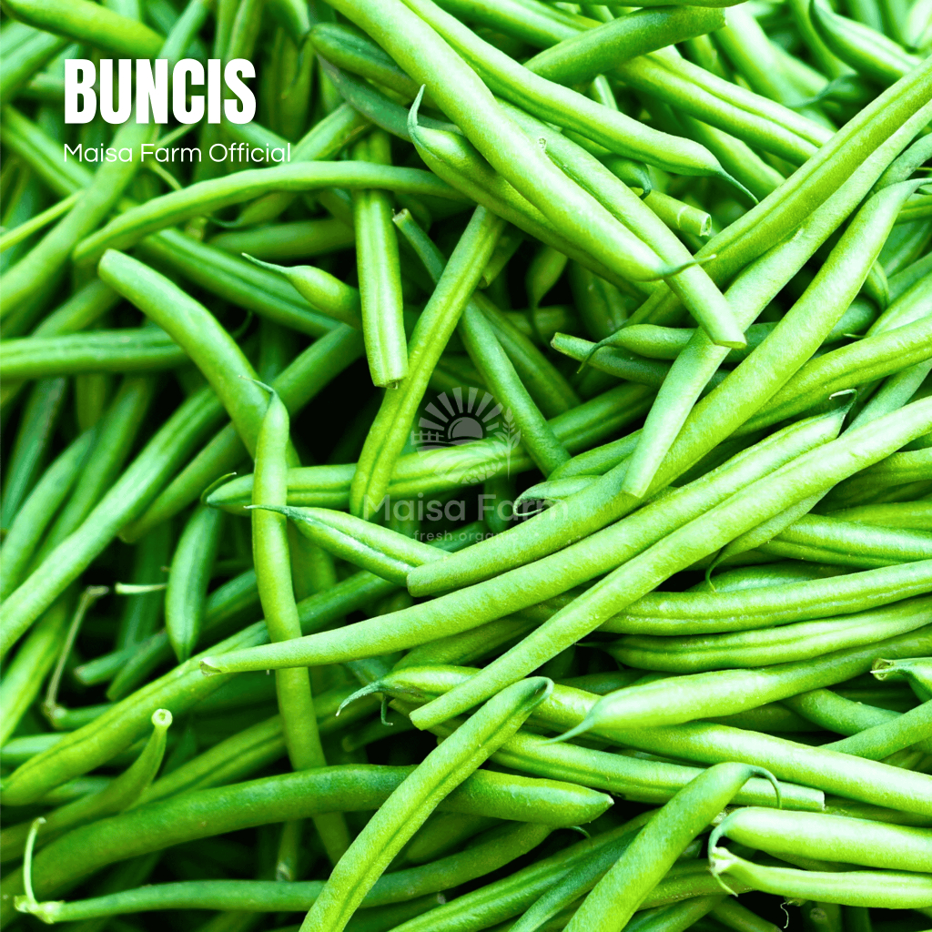 

Maisa Farm Cikarang - Sayur Buncis 250 gram segar