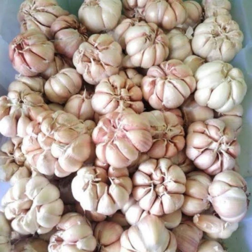 

Bawang Putih 500gram Kualitas super
