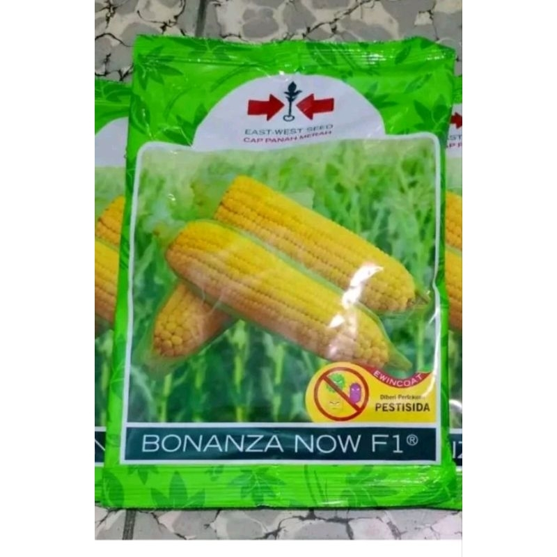 

Promo !!! Original BONANZA NOW F1 Cap Panah Merah Kemasan terbaru isi 1800 butir