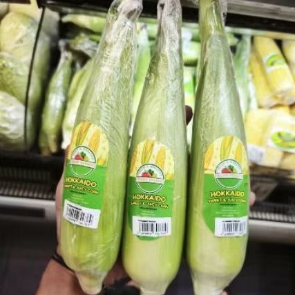 

Jagung Hokkaido sweet juicy corn pcs