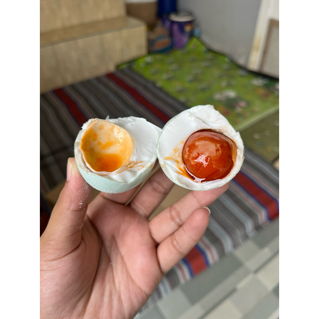 

Telur Asin Organik Dua Jempol Lamongan Manik Orange Kemerahan Protein Tinggi Creamy & Masir Kemasan Aman Bubble Wrap