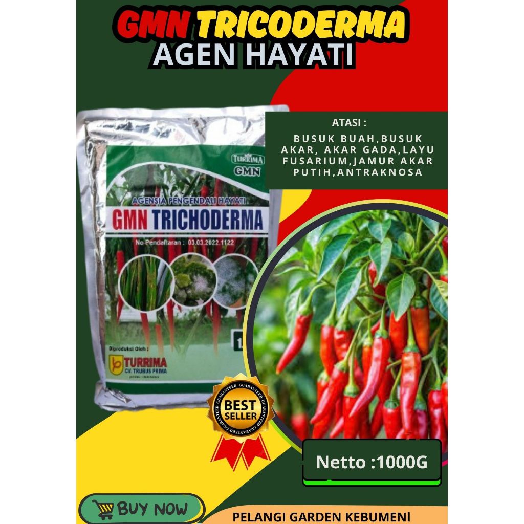 SOLUSI AJAIB  Trichoderma Anfush, Trichoderma Asperellum Isi 1kg