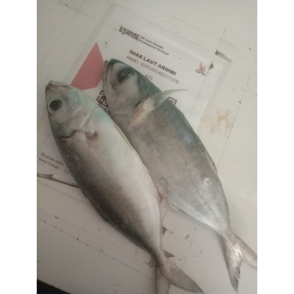 

Ikan Kembung