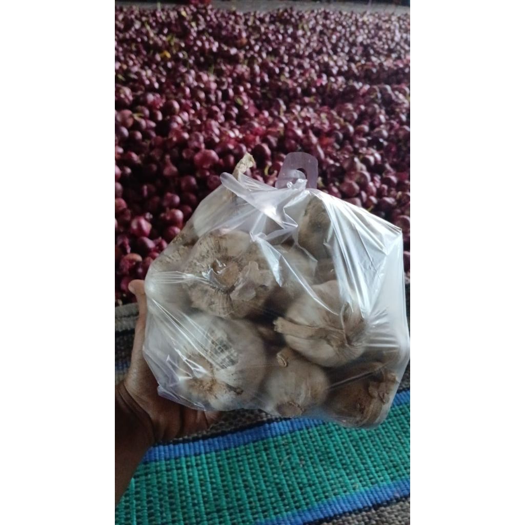 

Bawang putih sico kotor masih ada kulit Ari luar kemasan plastik no box no sortir no komplain