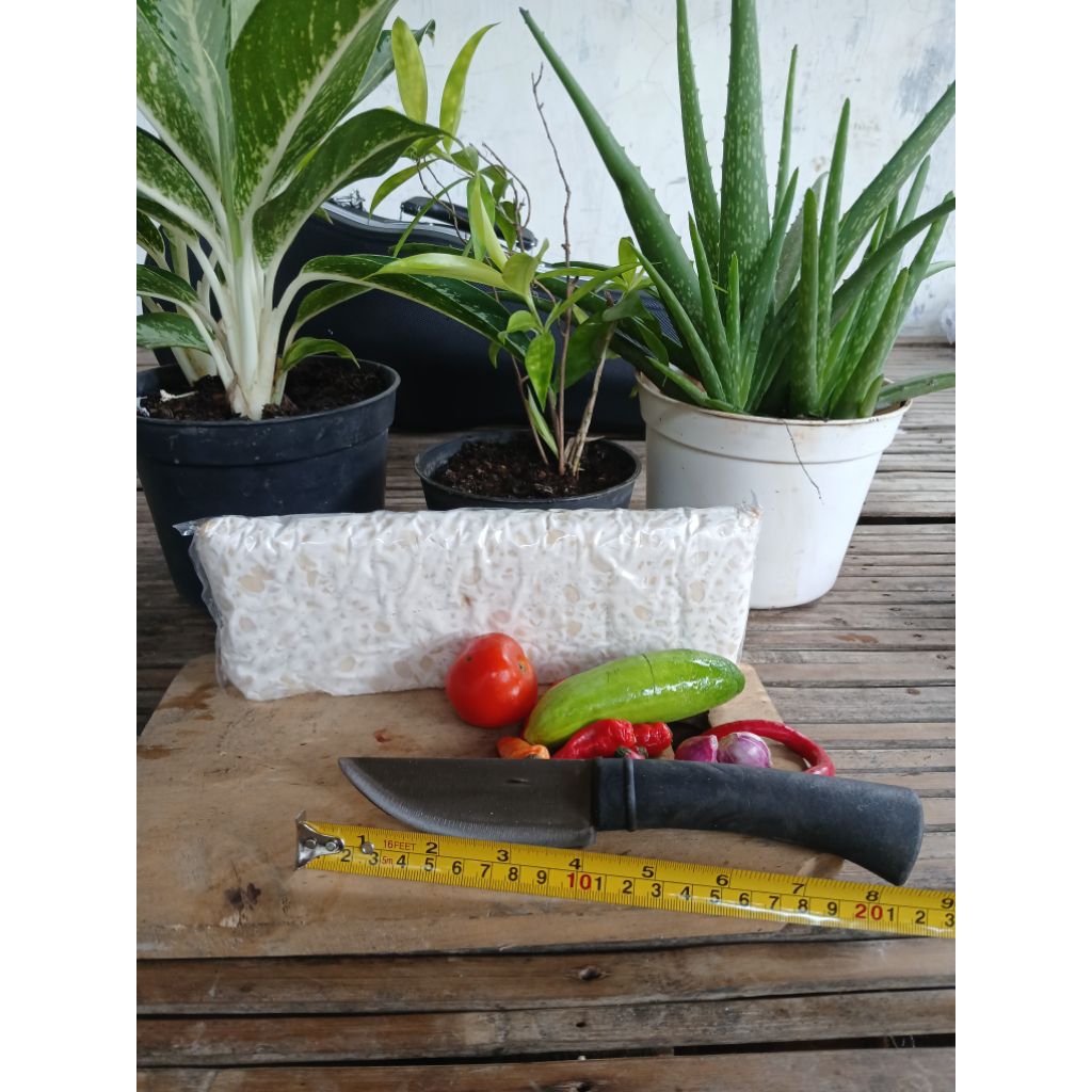 pisau jengkol cap mata, pisau seset kulit