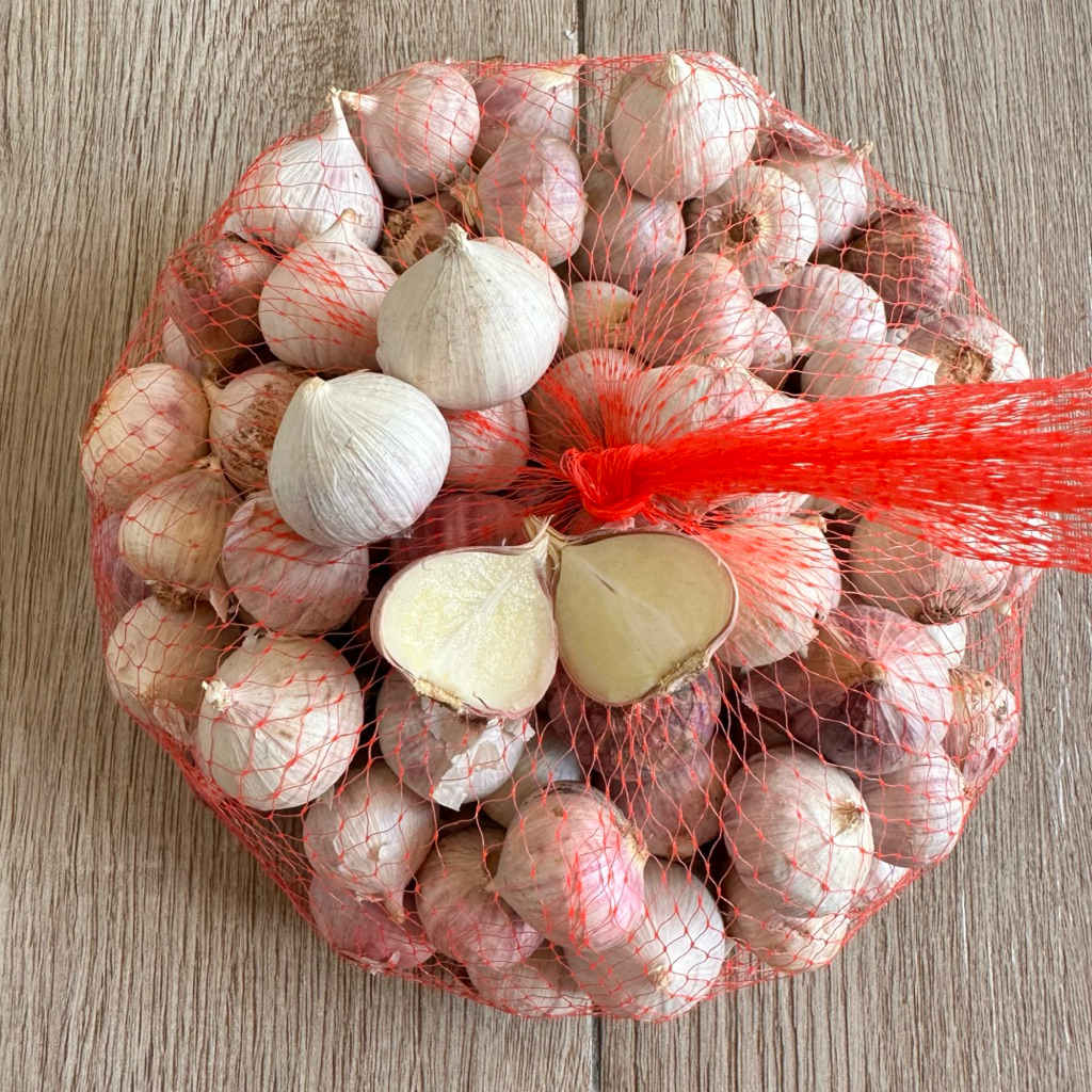 

Bawang Putih Tunggal Asli 100% Bawang Lanang Segar Super Harga Termurah Cocok Untuk Kesehatan