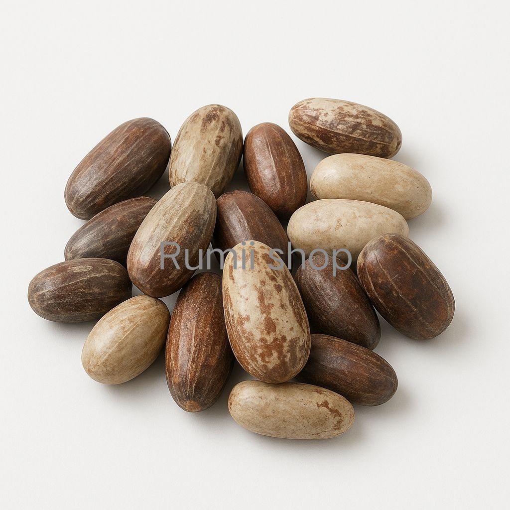 

Biji pala / biji pala kocak 1kg & 500gram