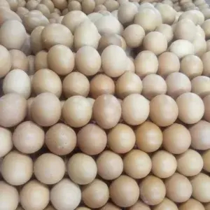 

TELOR AYAM NEGRI SATUAN 1 BUTIR