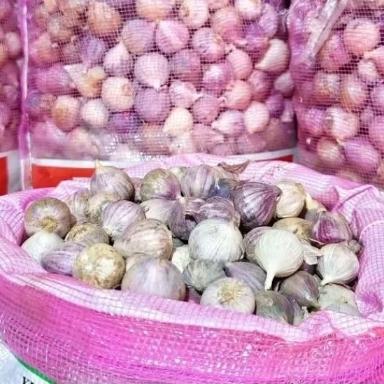 

Bawang Putih Tunggal Lanang 100gr