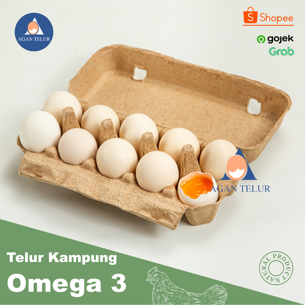 

TELUR AYAM KAMPUNG SUPER ISI 10 BUTIR