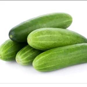 

timun lalap 1kg