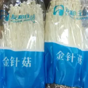 

PAKET JAMUR ENOKI 2 BKS