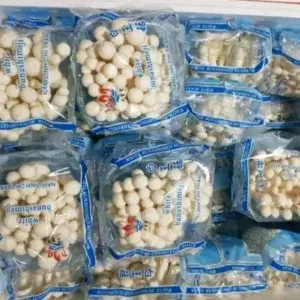 

JAMUR MAEJI PUTIH 1pak