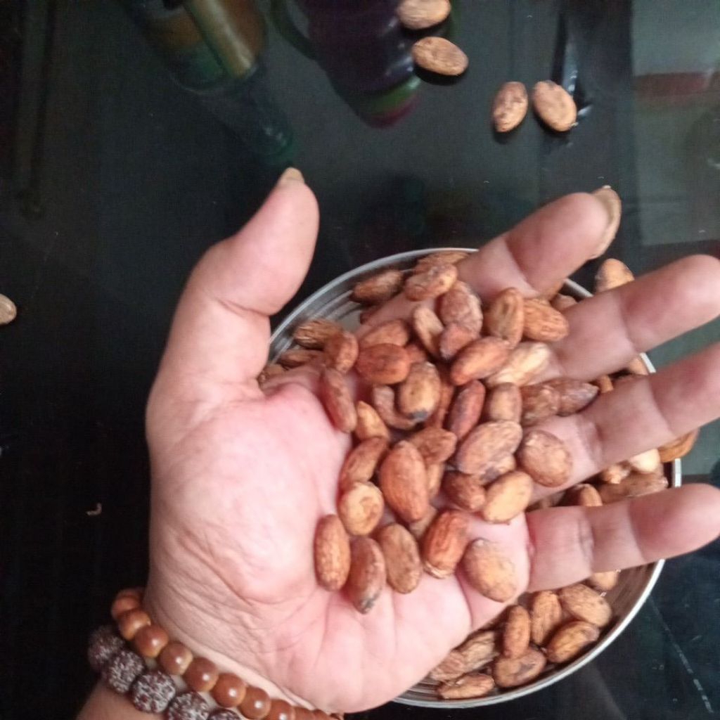 

BIJI COKLAT / KAKAO KERING