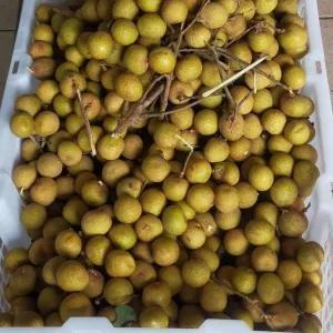 

Kelengkeng Bangkok 250g