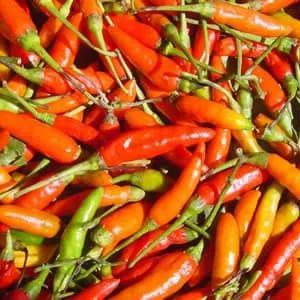 

Cabe 250 g
