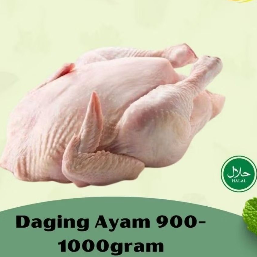 

Ayam karkas broiler size 900-1000gram/ayam karkas utuh 1 ekor