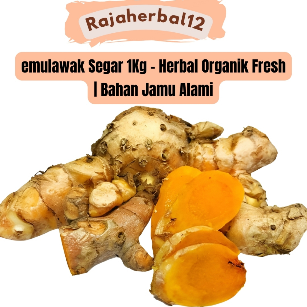 

Temulawak Segar 1Kg – Herbal Organik Fresh | Bahan Jamu Alami