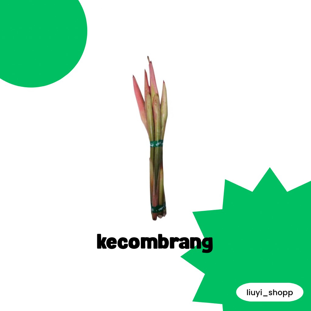 

bunga kecombrang fres paket 5.000 ( 2 pcs )