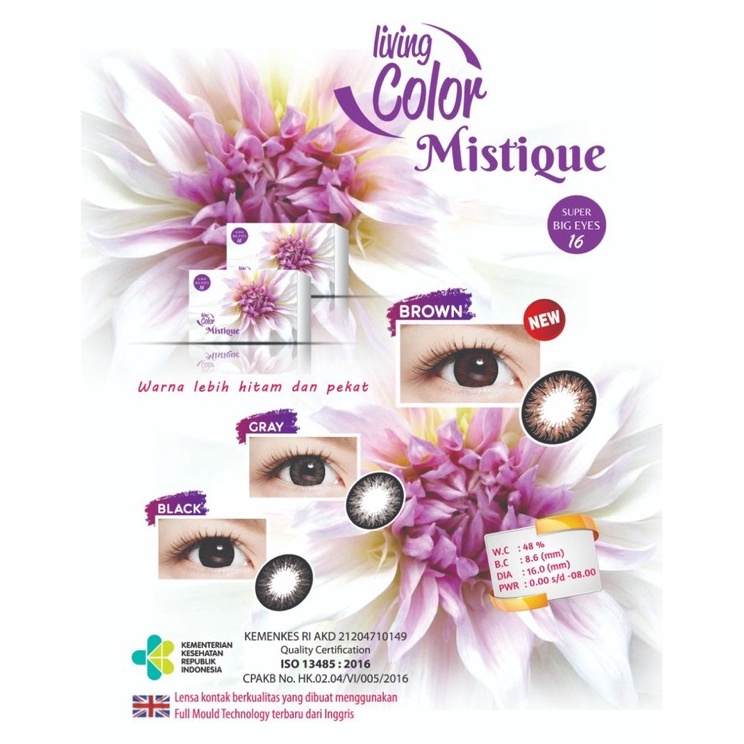 Softlens MISTIQUE 16 MM Normal  Minus 5 SD 8 By Irislab  Soflen Mistique  Mistique By Iris Lab  Mi  