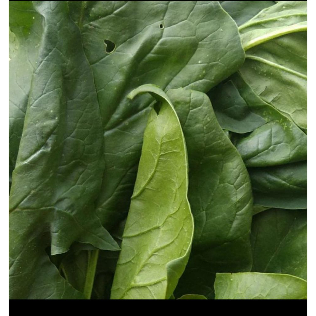 

POLENG sayuran fresh 250 gram