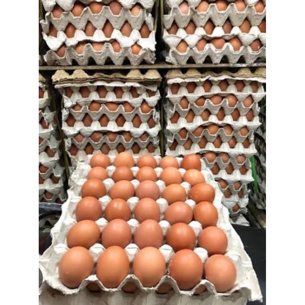 

Telur Ayam Ras Negeri Per Pak Isi ( 30 Butir)