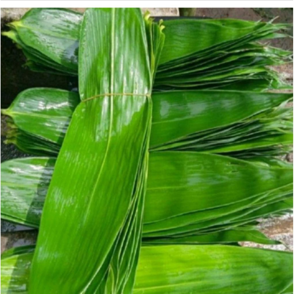 

daun bambu hijau 100 lembar