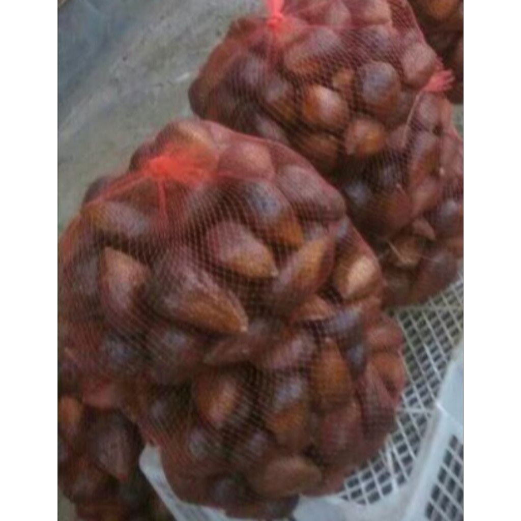 

Paket Hemat 3 kg Salak Pondoh Segar - GGS